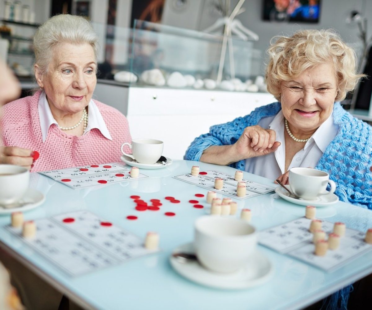 game-of-lotto-2023-11-27-05-34-40-utc.jpg